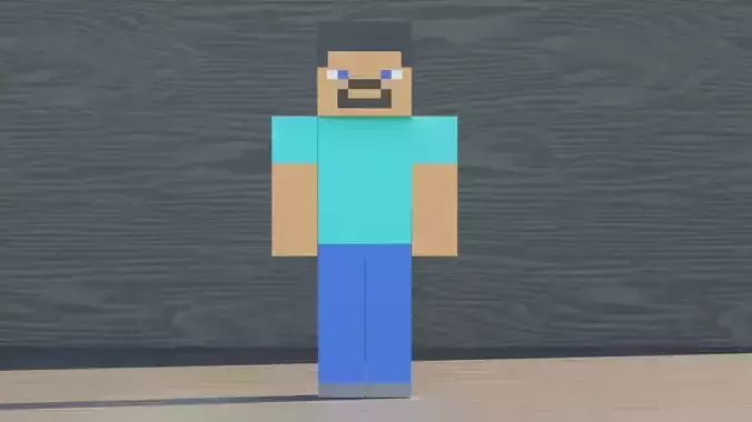 Steve Maincraft Character