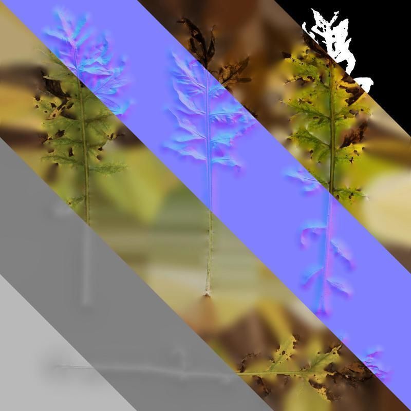 Anydrafts Centaurea gymnocarpa Leaf 03 F Texture_8