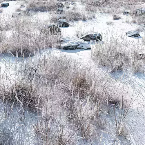 Snowy biome 3D model