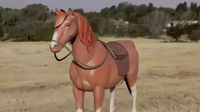 Horse Rig
