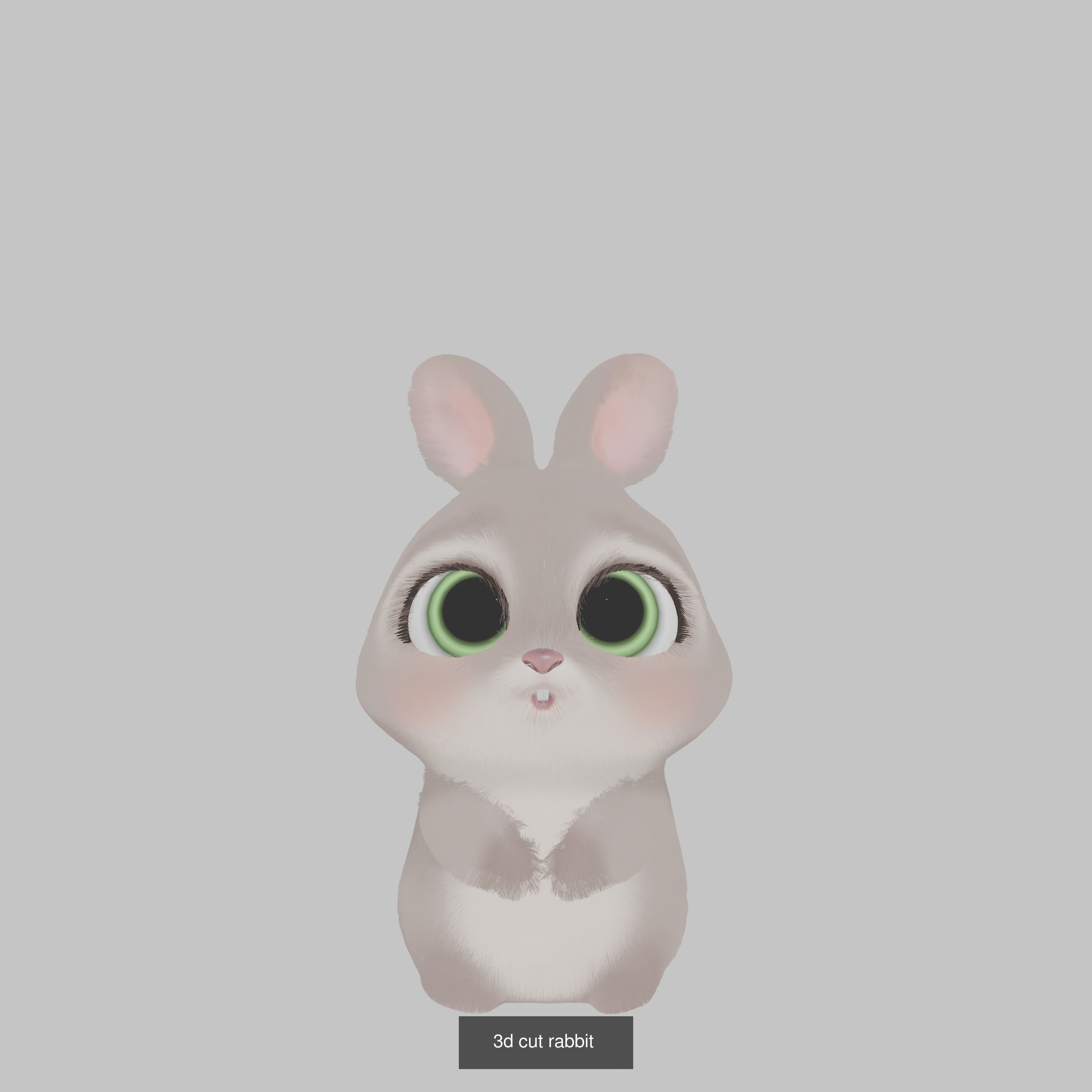 2 cute cartoon animals made in blender 3D Model Collection_5
