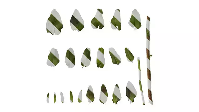 Anydrafts Cerinthe major Leaf 01