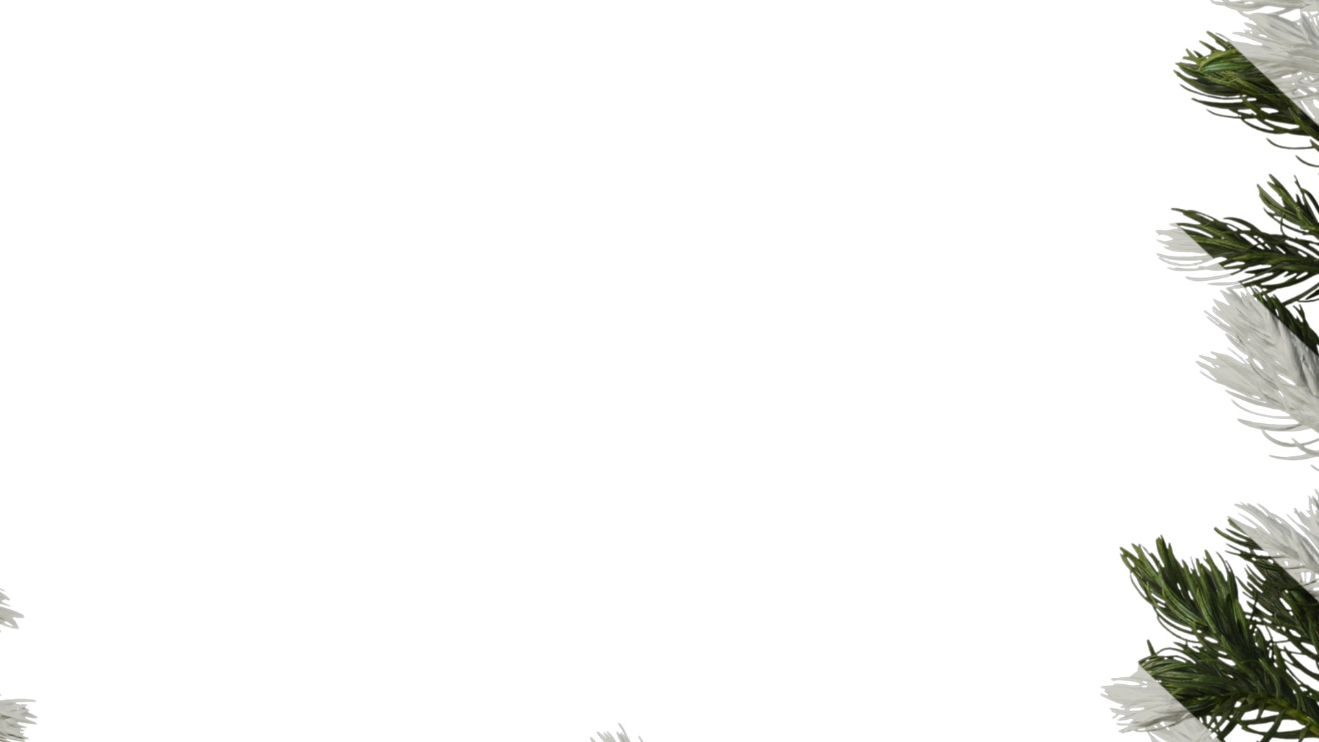 Anydrafts Chamaecyparis pisifera boulevard Atlas 04 Texture_7