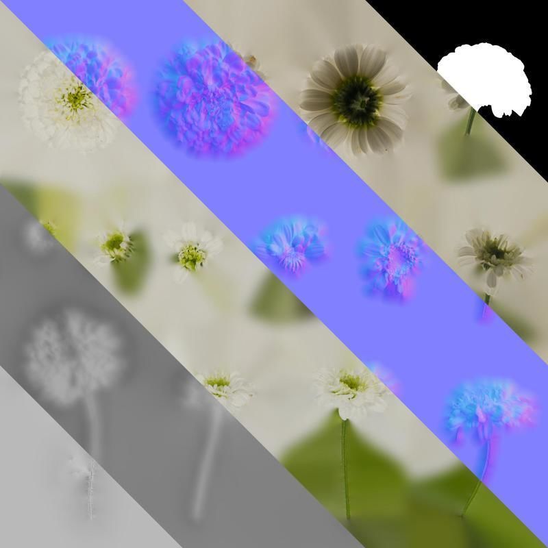 Anydrafts Chamaemelum nobile flore plena Flower 01 Texture_8