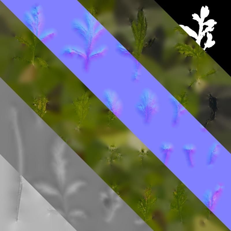 Anydrafts Chamaemelum nobile flore plena Leaf 02 Texture_8