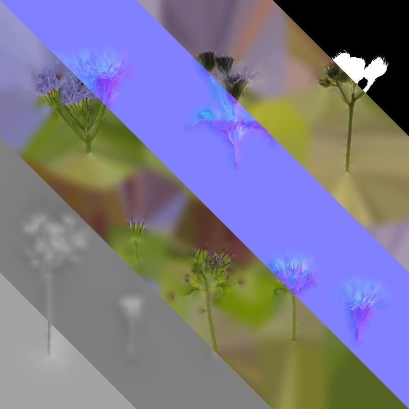 Anydrafts Conoclinium coelestinum Atlas 03 Texture_8