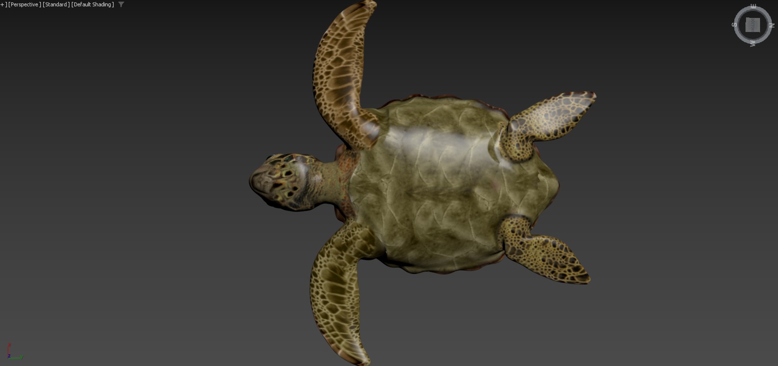 Moana  Characters Pack 20 3D model_88