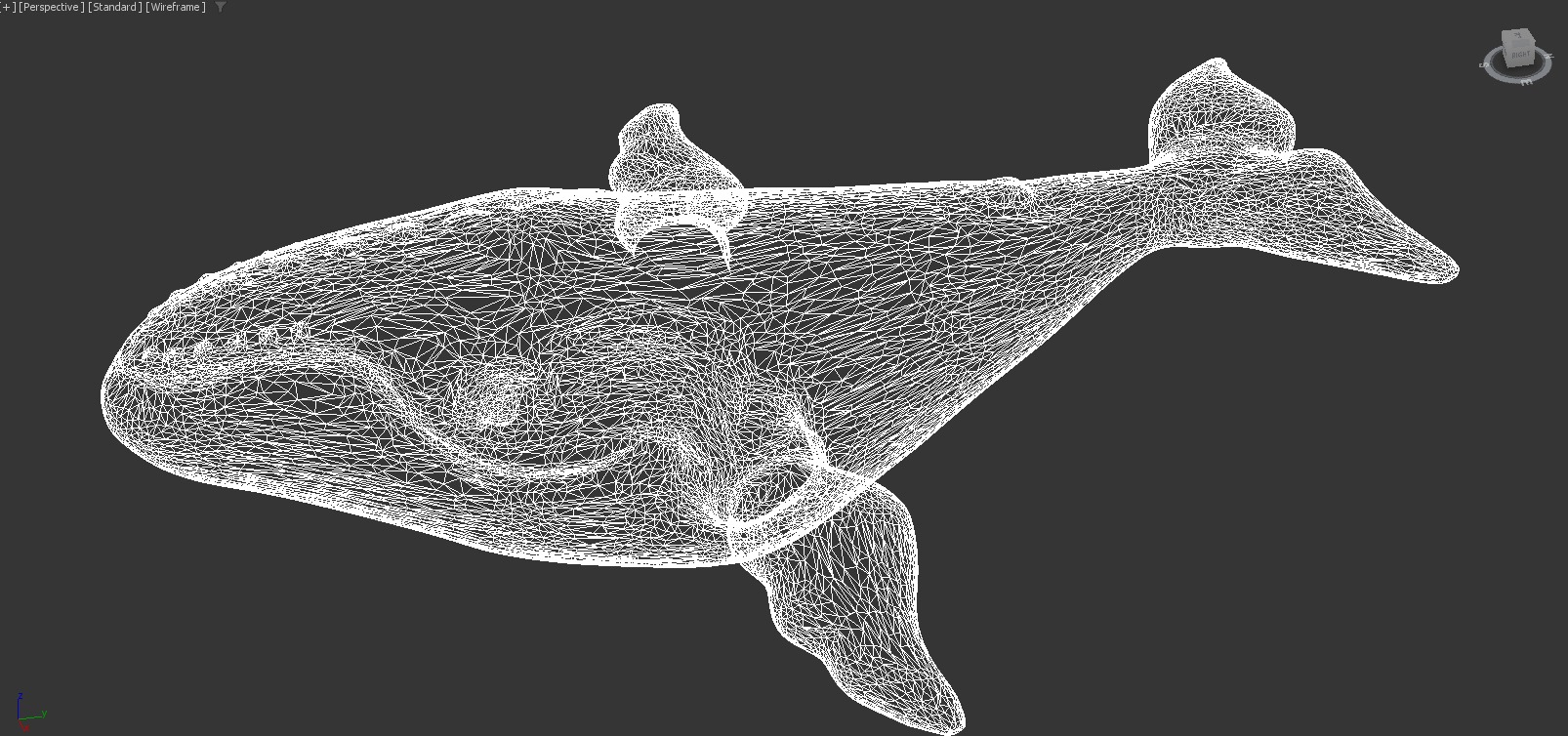 Moana  Characters Pack 20 3D model_36