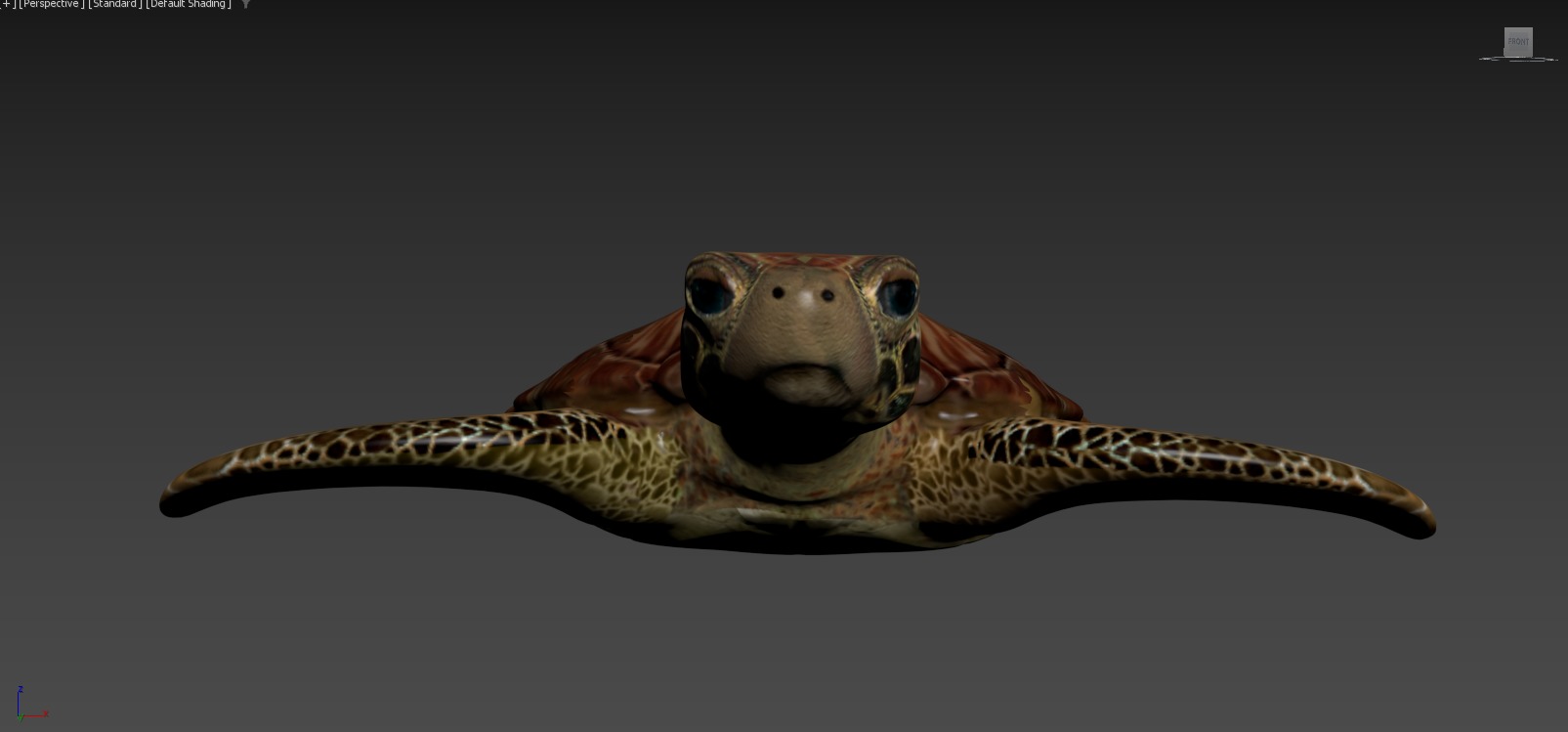 Moana  Characters Pack 20 3D model_86