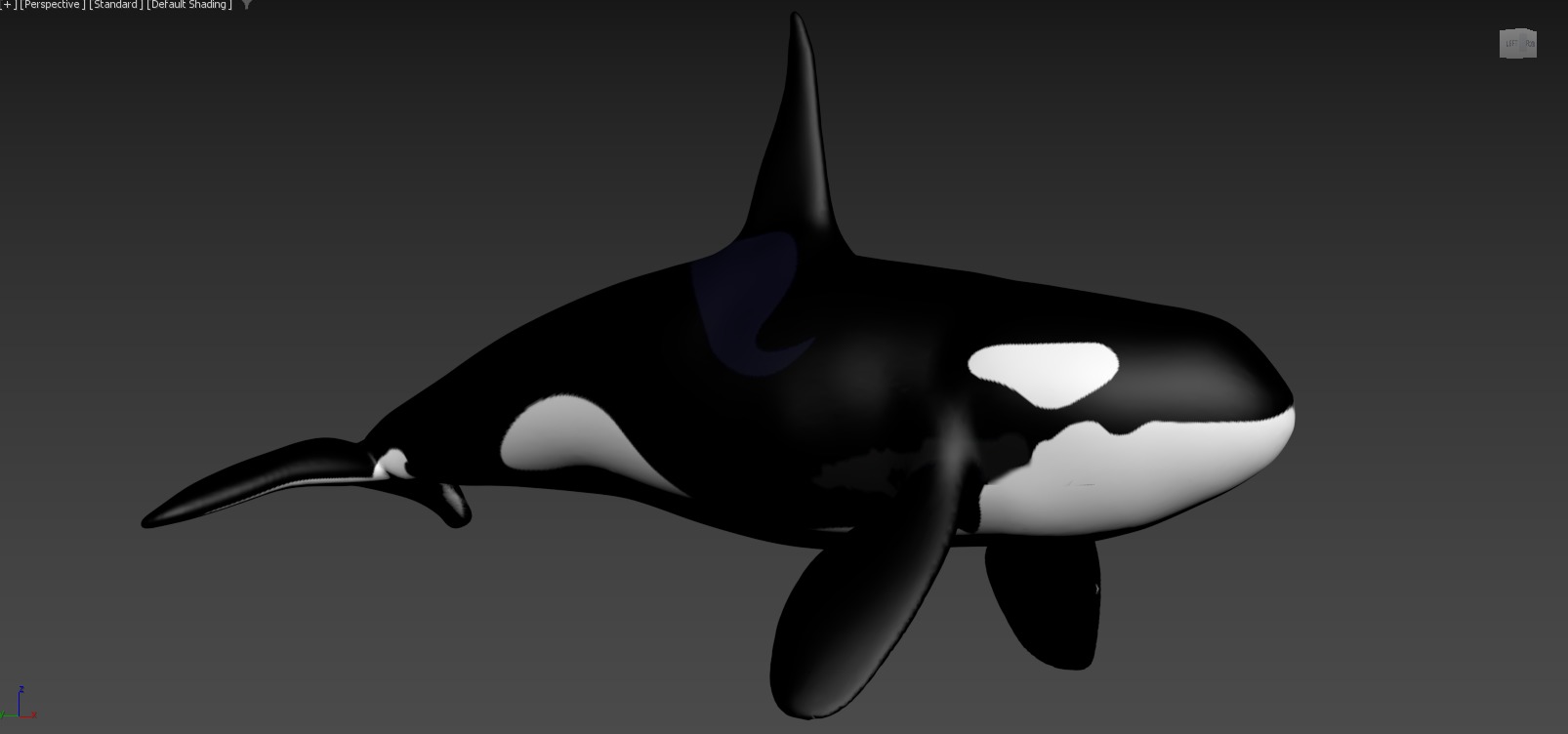 Moana  Characters Pack 20 3D model_39