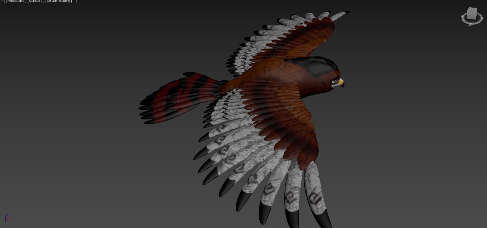 Moana  Characters Pack 20 3D model_72