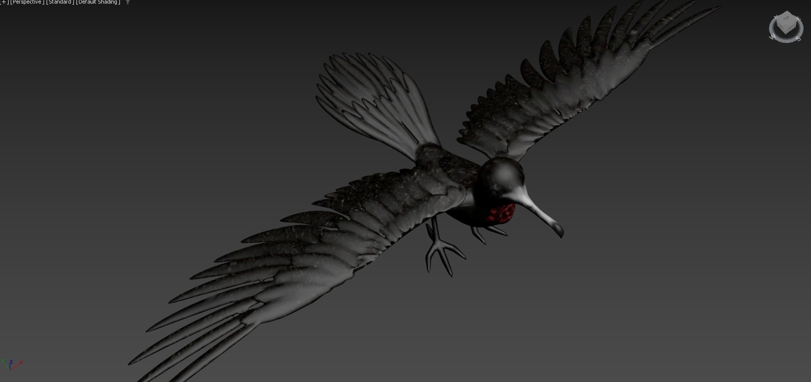 Moana  Characters Pack 20 3D model_29