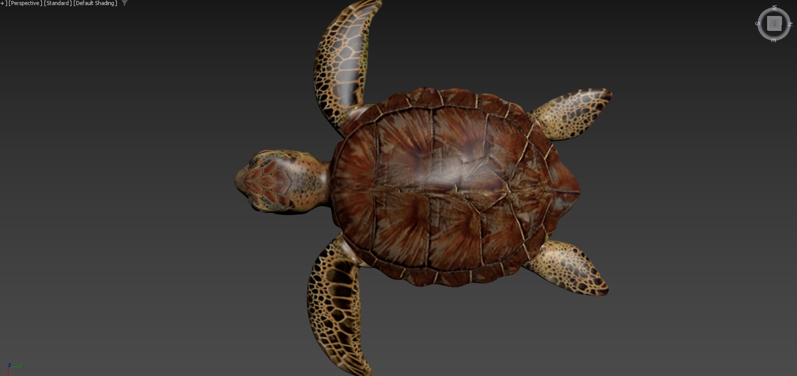 Moana  Characters Pack 20 3D model_87