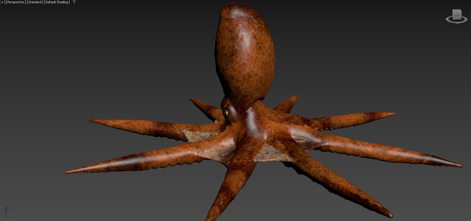 Moana  Characters Pack 20 3D model_114