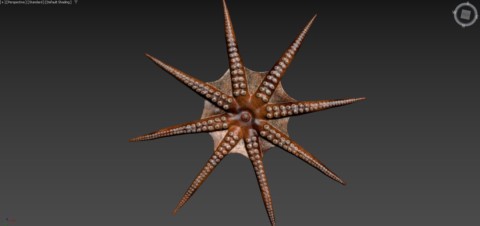 Moana  Characters Pack 20 3D model_115