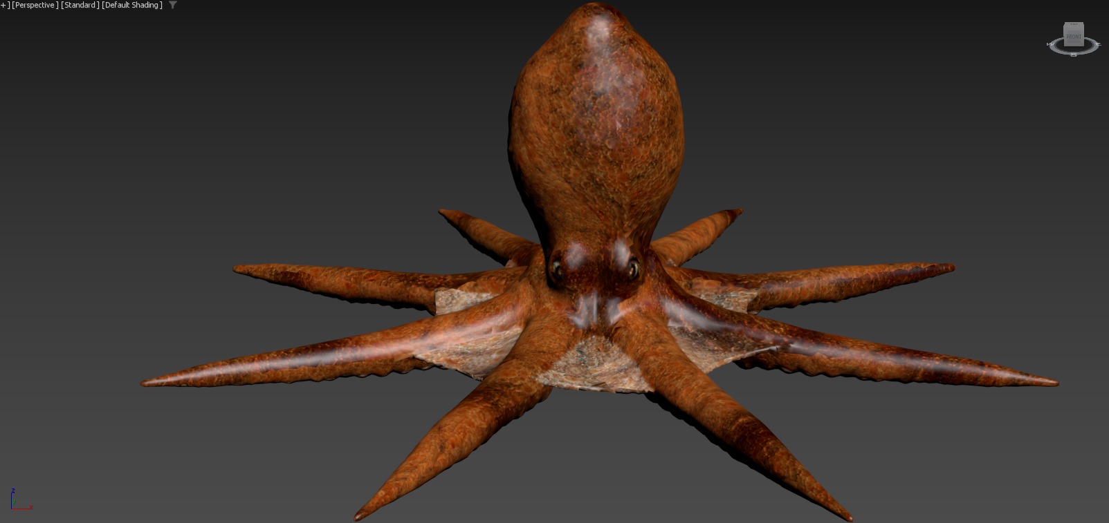 Moana  Characters Pack 20 3D model_57