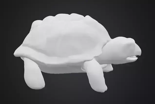 Turtle