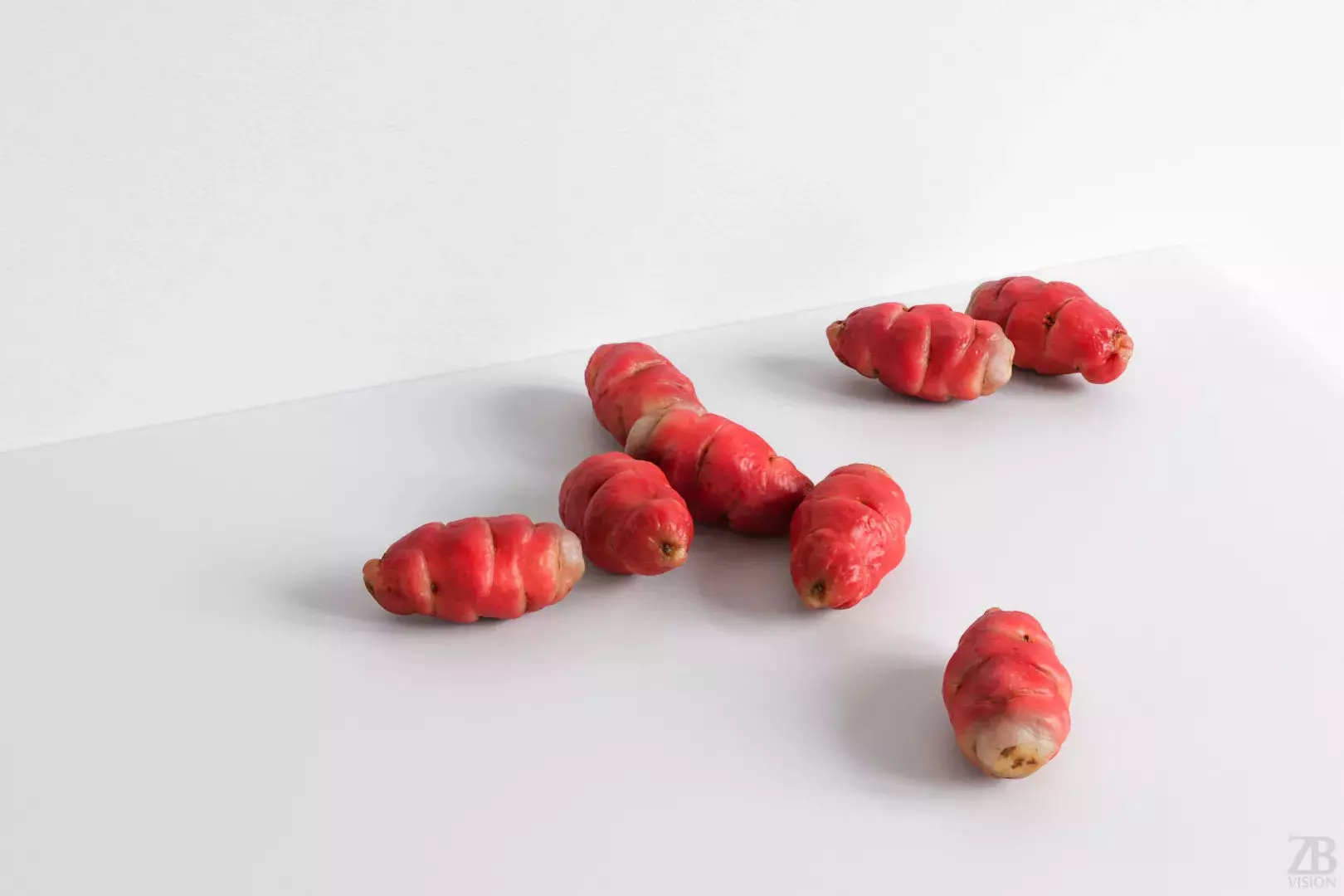 Oca Root 3D model