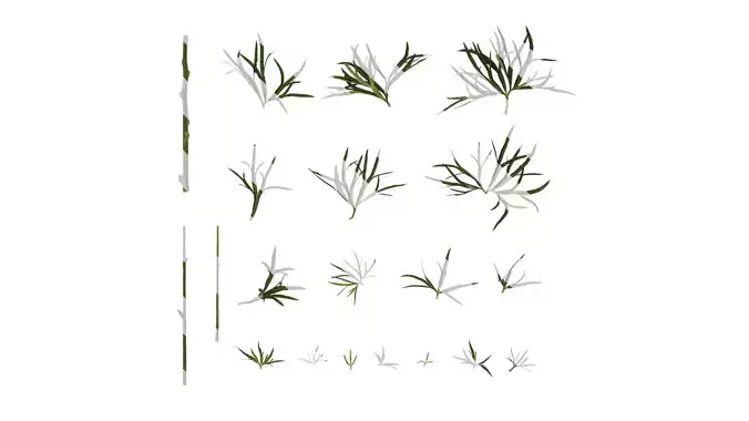 Anydrafts Consolida ajacis Leaf 01