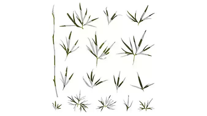 Anydrafts Consolida ajacis Leaf 03