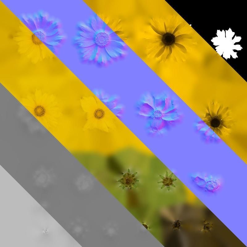 Anydrafts Coreopsis basalis Flower 04 Texture_8