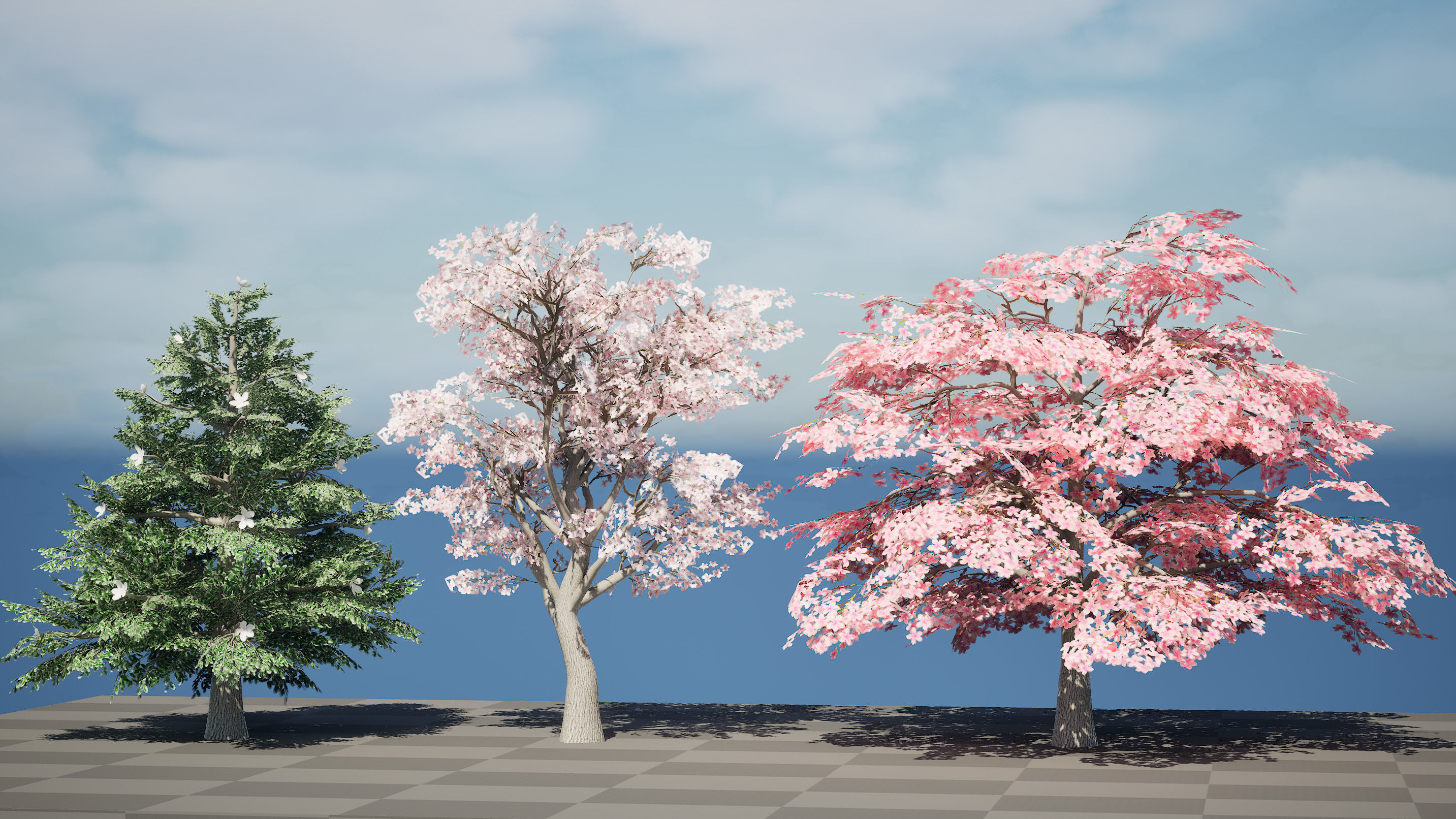 Magnolia Trees 3D Model Low-poly 3D model_3