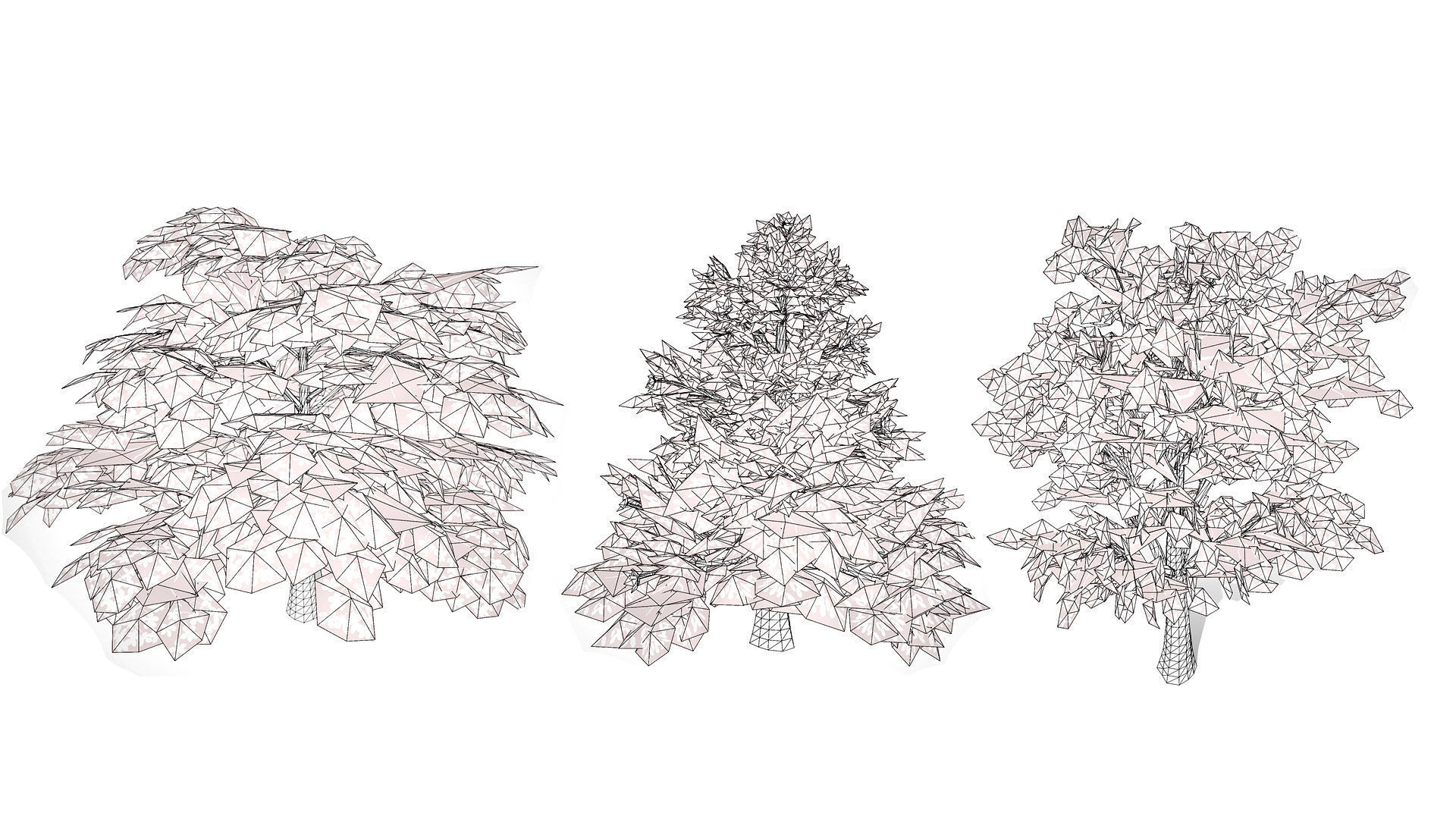 Magnolia Trees 3D Model Low-poly 3D model_11