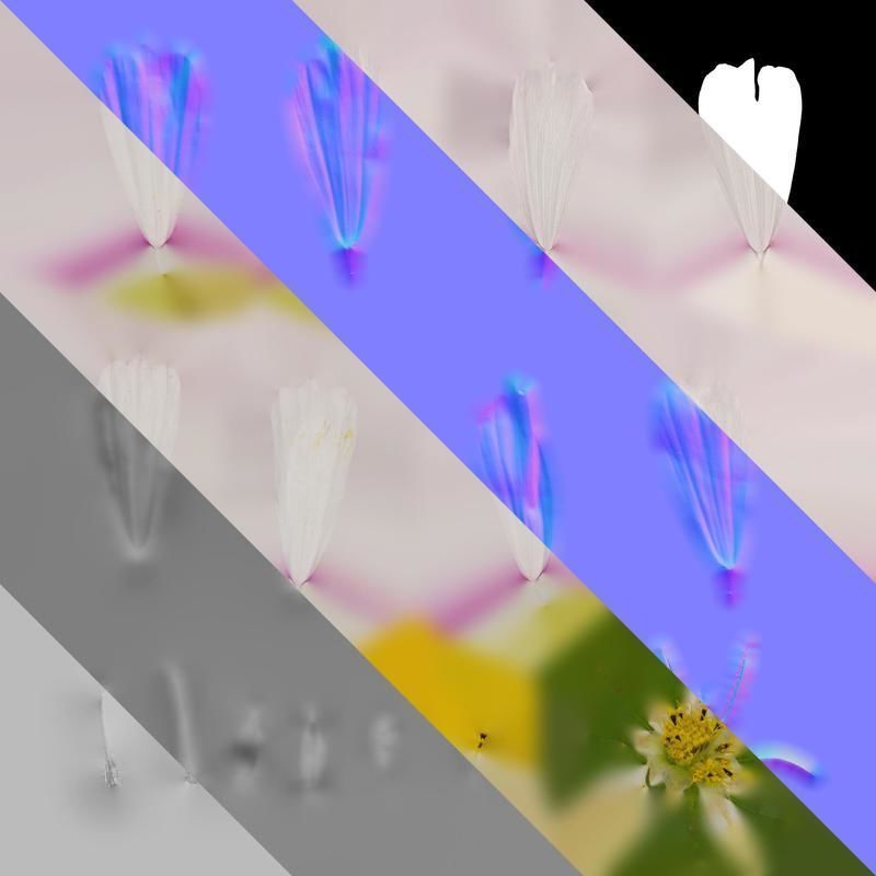 Anydrafts Cosmos bipinnatus Flower 20 Texture_8