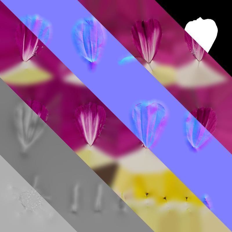 Anydrafts Cosmos bipinnatus Flower 26 Texture_8