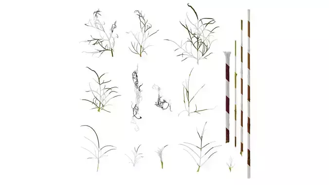 Anydrafts Cosmos bipinnatus Leaf 01