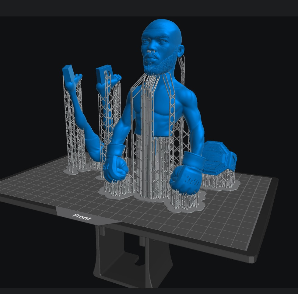 JON BONES JONES 3D print model_5