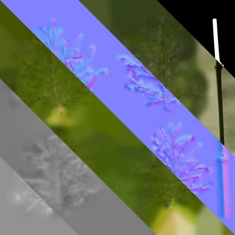 Anydrafts Cosmos bipinnatus Leaf 03 Texture_8