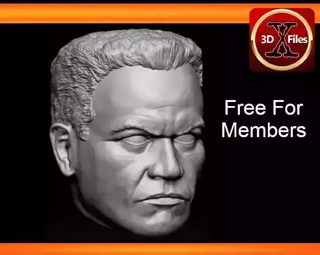 Clone Trooper Head Sculpt - Star Wars custom - Action Figure