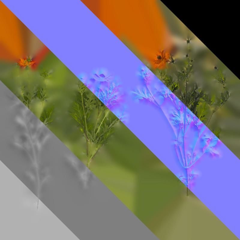 Anydrafts Cosmos sulphureus Atlas 03 Texture_8