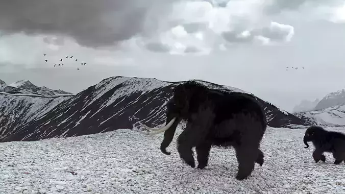 Wolly Mammoth Low-poly 3D model