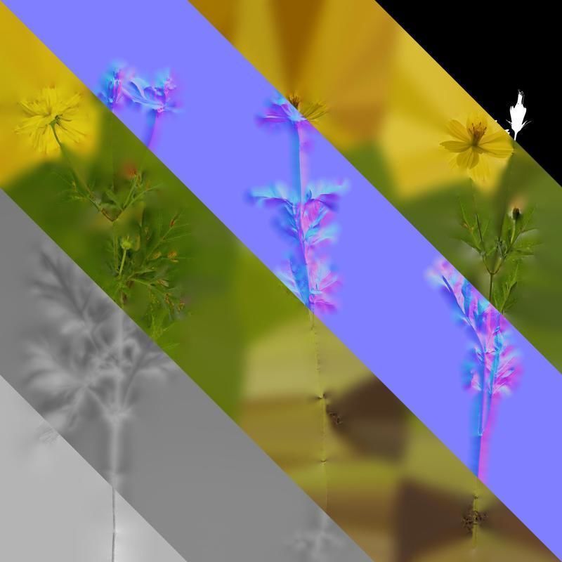 Anydrafts Cosmos sulphureus Atlas 06 Texture_8