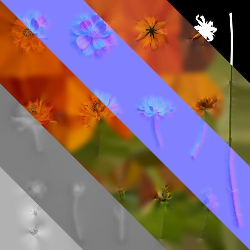 Anydrafts Cosmos sulphureus Flower 08 Texture_8