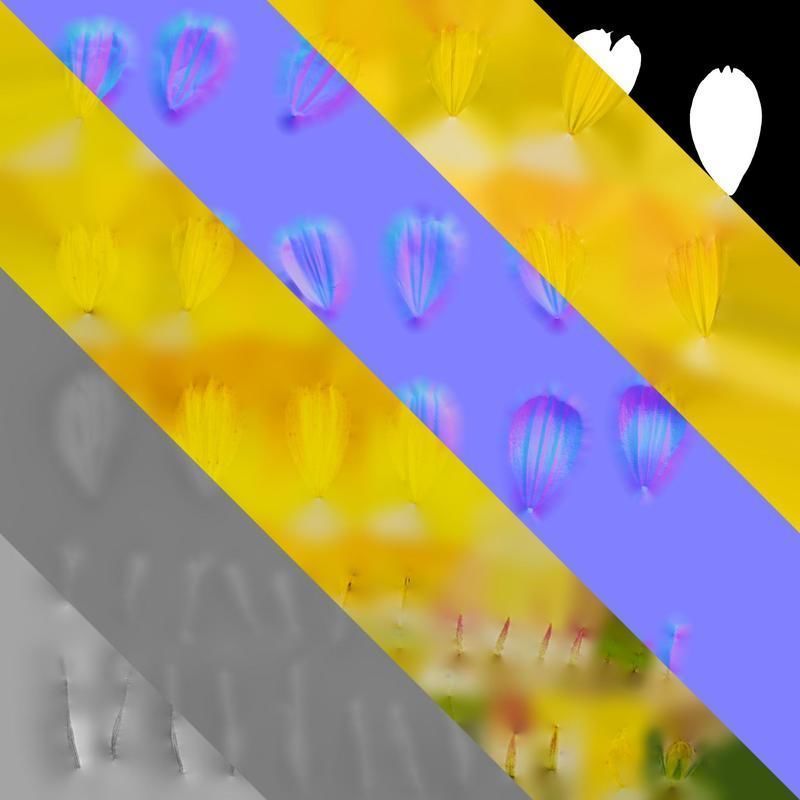 Anydrafts Cosmos sulphureus Flower 09 Texture_8