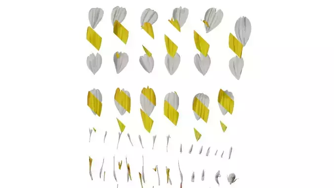 Anydrafts Cosmos sulphureus Flower 09