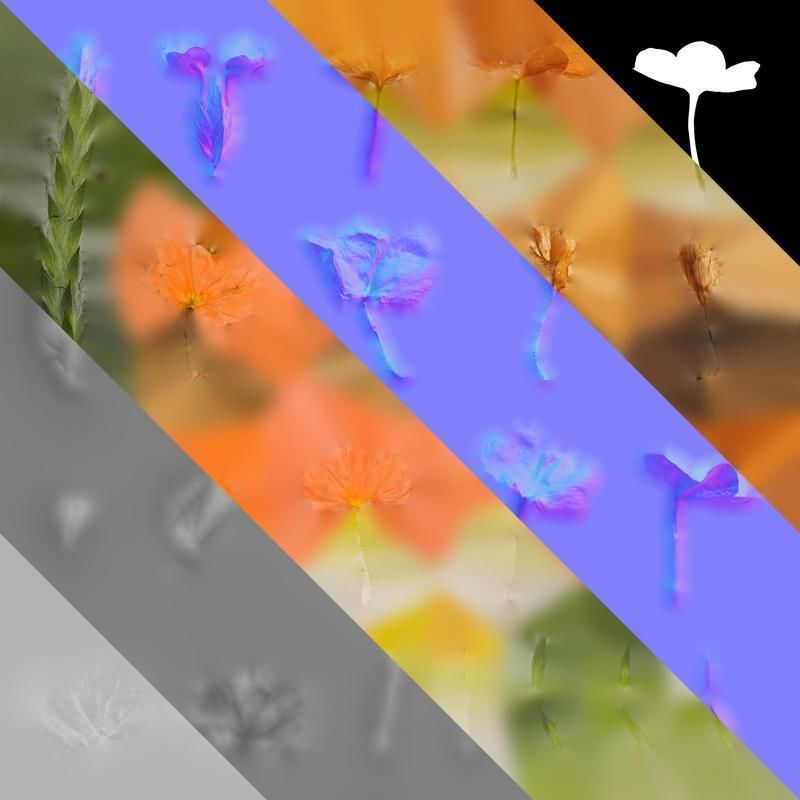 Anydrafts Crossandra infundibuliformis Flower 01 Texture_8