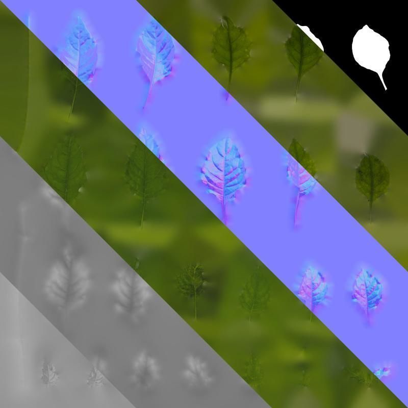 Anydrafts Crossandra infundibuliformis Leaf 01 Texture_8