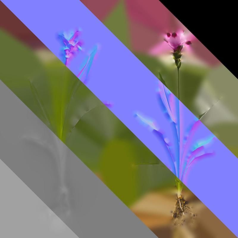 Anydrafts Curcuma alismatifolia Atlas 02 Texture_8