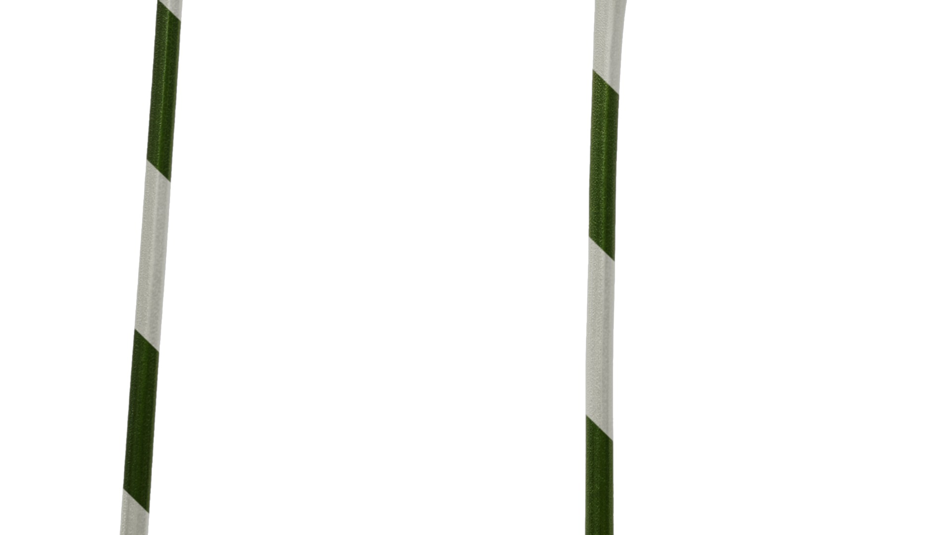 Anydrafts Curcuma alismatifolia Flower 01 Texture_5