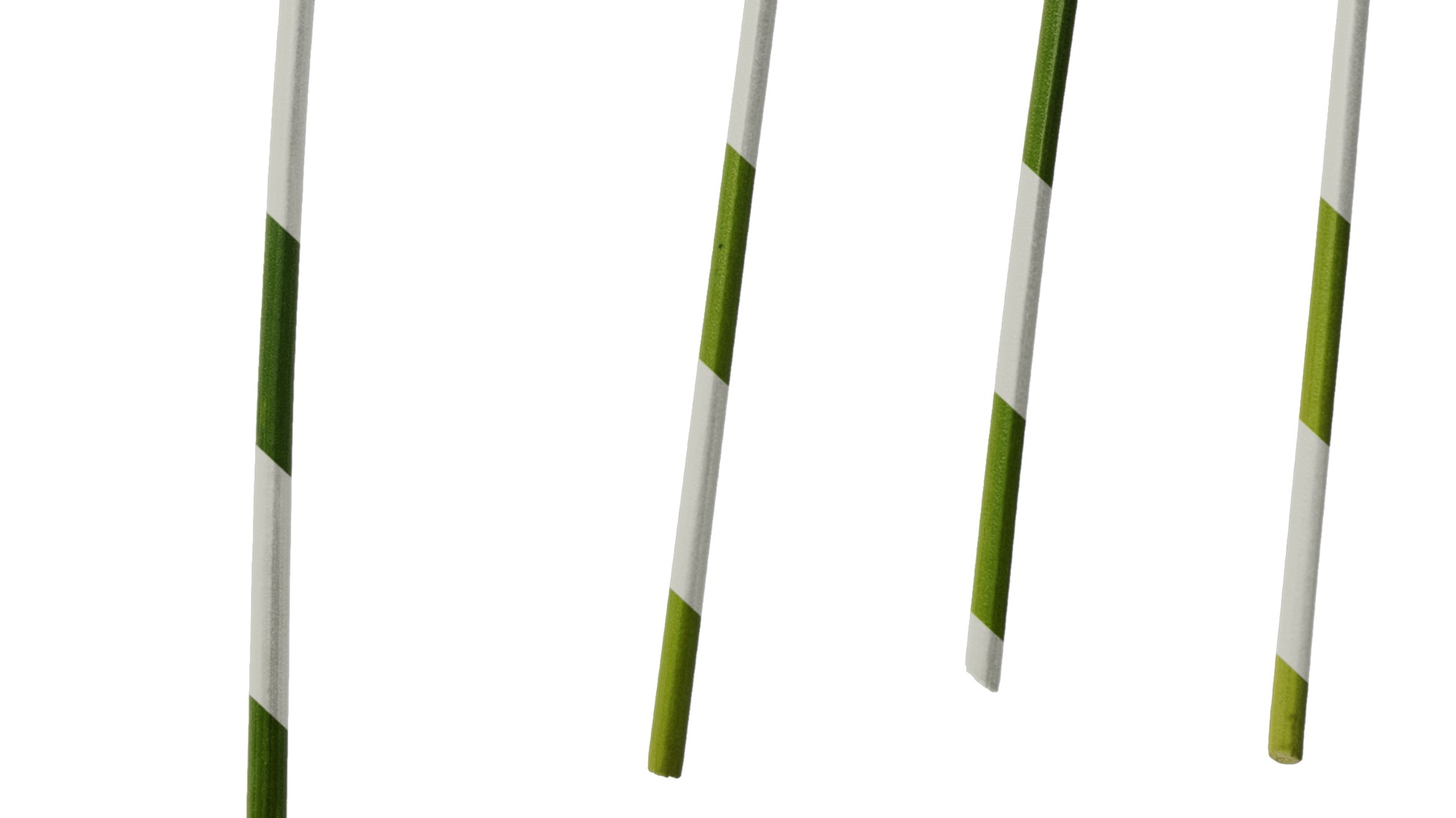 Anydrafts Curcuma alismatifolia Flower 01 Texture_6