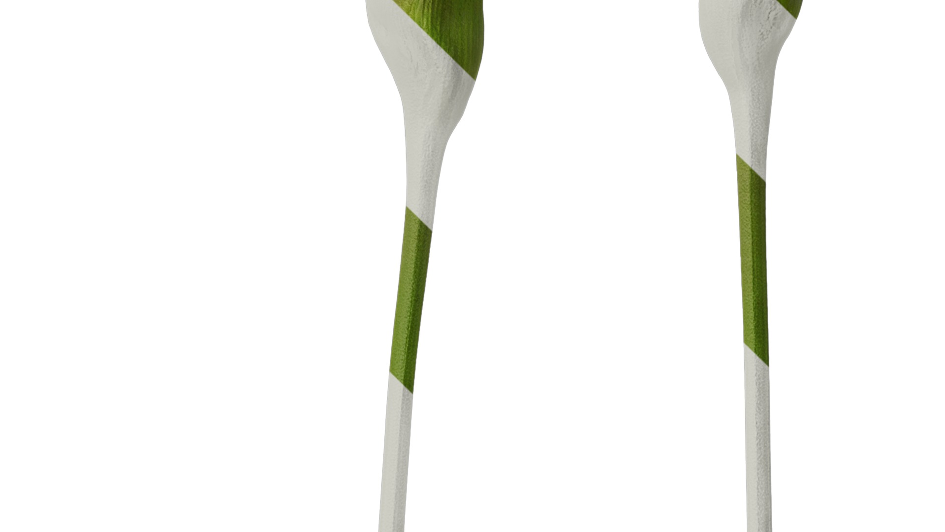 Anydrafts Curcuma alismatifolia Flower 03 Texture_4