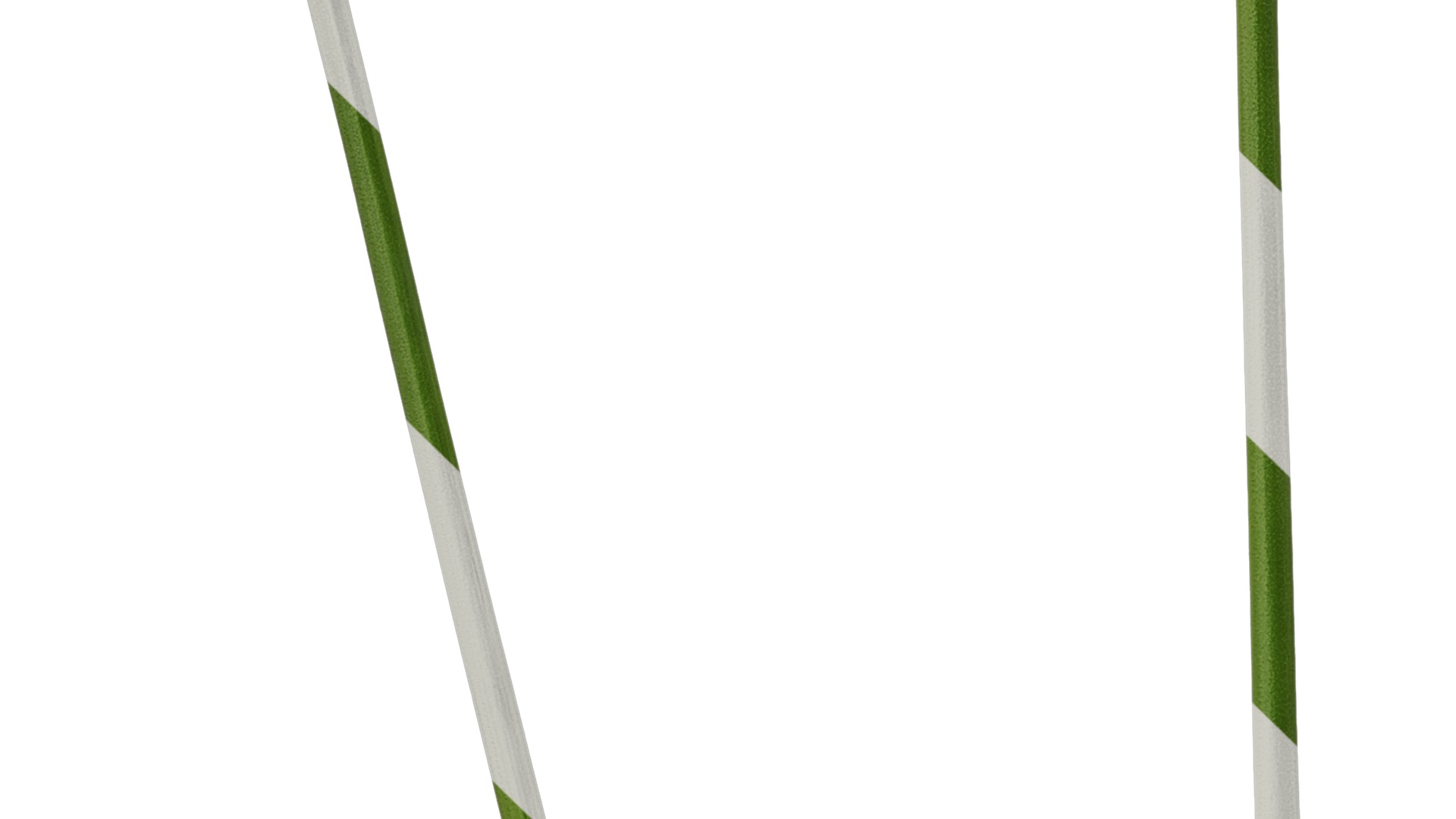 Anydrafts Curcuma alismatifolia Flower 03 Texture_5