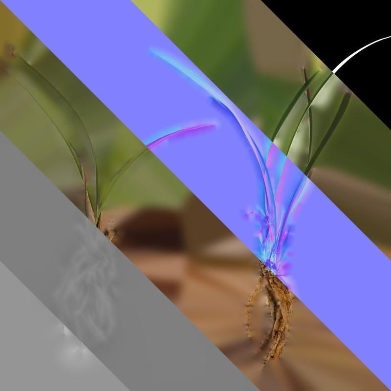 Anydrafts Cymbidium goeringii Atlas 01 Texture_8