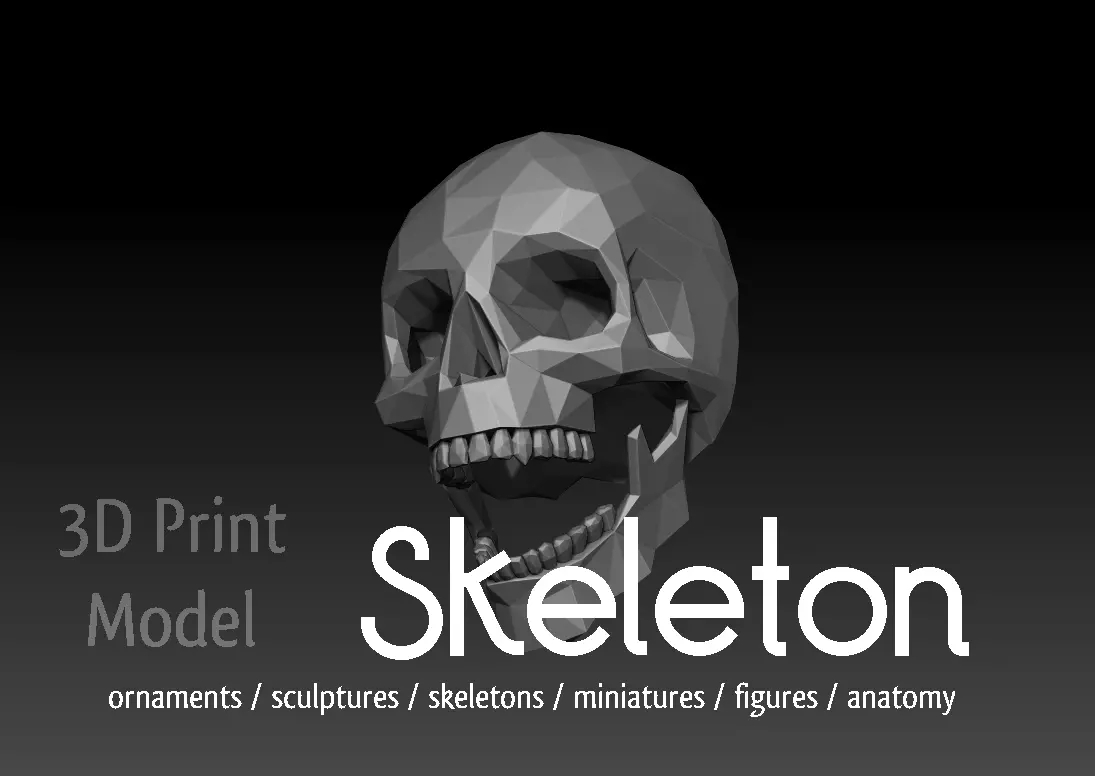 Skeleton Free 3D print model