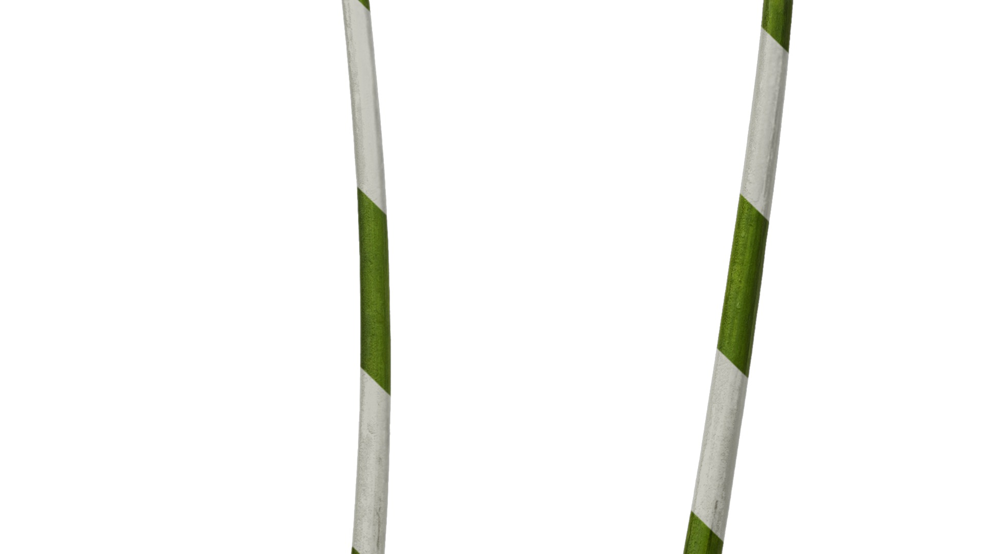 Anydrafts Cyrtanthus mackenii Atlas 01 Texture_5