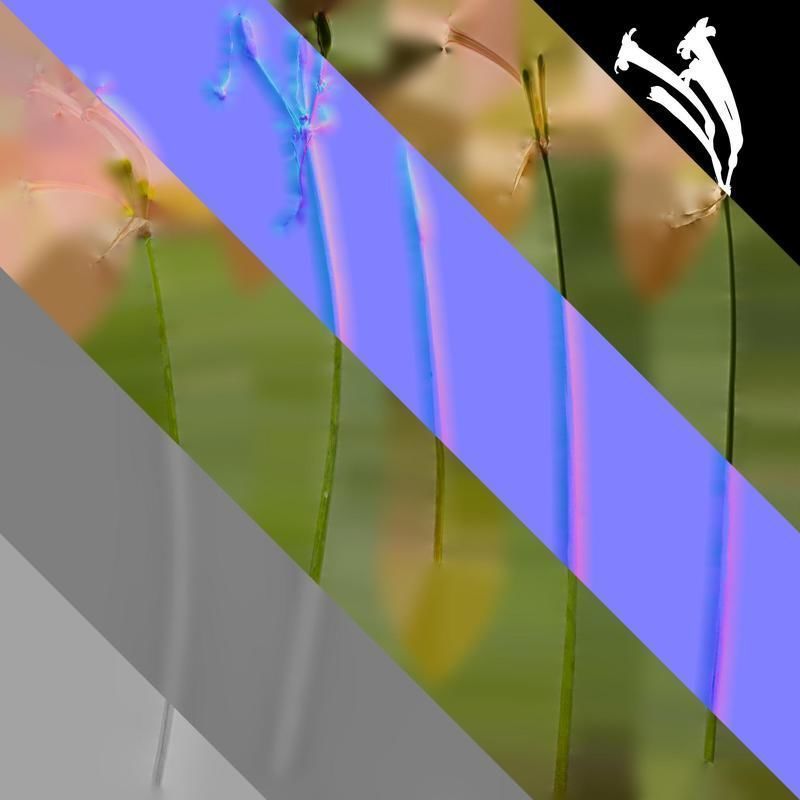 Anydrafts Cyrtanthus mackenii Atlas 01 Texture_8